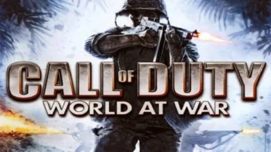 Call Of Duty World At War Game Highly Compressed Download For Pc