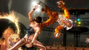 Dead Or Alive 5 Last Round Game Highly Compressed