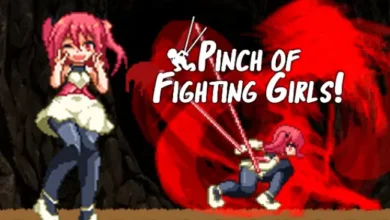 Pinch Of Fighting Girls Highly Compressed Free Download